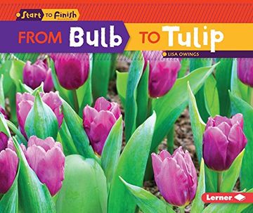 portada From Bulb to Tulip (Start to Finish, Second Series)