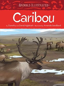 portada Animals Illustrated: Caribou (en Inglés)