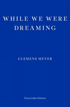 portada While we Were Dreaming (in English)