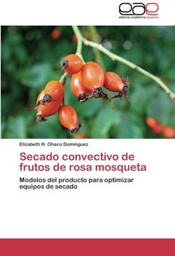 portada Secado Convectivo de Frutos de Rosa Mosqueta (in Spanish)