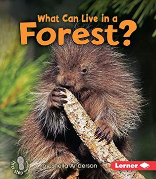 portada What can Live in a Forest? (First Step Nonfiction - Animal Adaptations) (en Inglés)