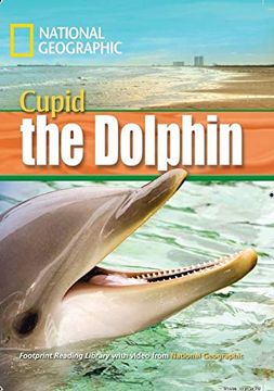 portada A Dolphin Named Cupid 