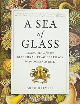 portada A Sea of Glass: Searching for the Blaschkas' Fragile Legacy in an Ocean at Risk (Organisms and Environments)