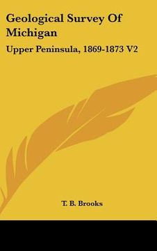 portada geological survey of michigan: upper peninsula, 1869-1873 v2: iron bearing rocks