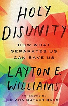 portada Holy Disunity: How What Separates us can Save us 