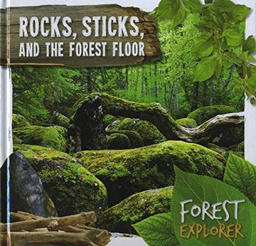 portada Rocks, Sticks & the Forest Floor (Forest Explorer) (in English)