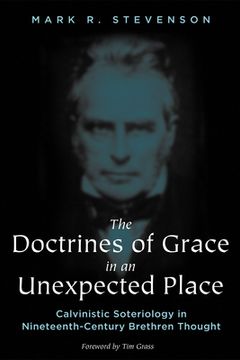 portada The Doctrines of Grace in an Unexpected Place (en Inglés)