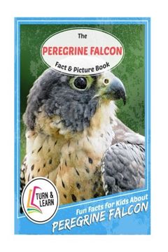 portada The Peregrine Falcon Fact and Picture Book: Fun Facts for Kids About Peregrine Falcon (Turn and Learn)