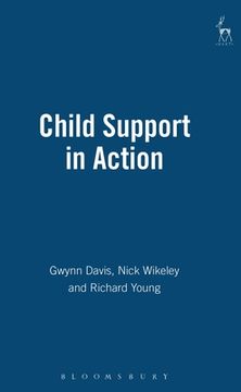 portada child support in action (en Inglés)
