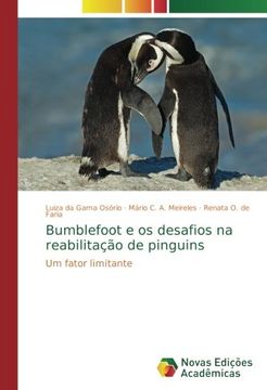 portada Bumblefoot e os desafios na reabilitação de pinguins: Um fator limitante