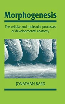 portada Morphogenesis: Cellular & Molecular Processes of Developmental Anatomy: The Cellular and Molecular Processes of Developmental Anatomy (Developmental and Cell Biology Series) (en Inglés)