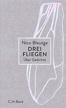 portada Drei Fliegen: Über Gedichte (en Alemán)
