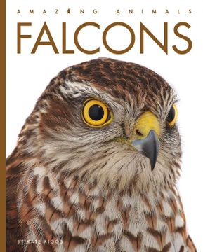 portada Falcons (Amazing Animals) (en Inglés)