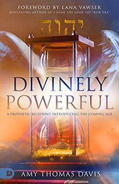 portada Divinely Powerful: A Prophetic Blueprint Introducing the Coming age (en Inglés)