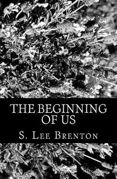 portada The Beginning of Us (en Inglés)