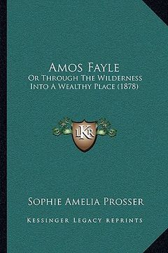 portada amos fayle: or through the wilderness into a wealthy place (1878)