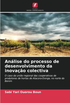portada Análise do Processo de Desenvolvimento da Inovação Colectiva: O Caso da União Regional das Cooperativas de Produtores de Hortas de Atacora-Donga, no Norte do Benim (en Portugués)