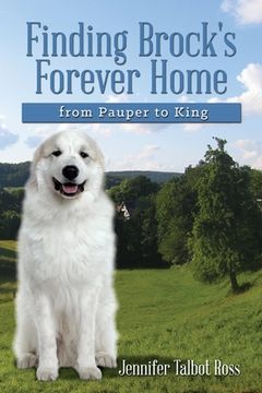 portada Finding Brock's Forever Home: from Pauper to King (in English)