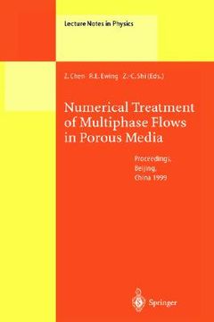 portada numerical treatment of multiphase flows in porous media: proceedings of the international workshop held at beijing, china, 2-6 august, 1999 (in English)