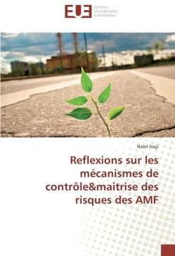 portada Reflexions sur les mécanismes de contrôle&maitrise des risques des AMF