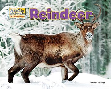 portada Reindeer (Arctic Animals: Life Outside the Igloo) (en Inglés)