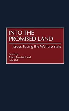 portada Into the Promised Land: Issues Facing the Welfare State (en Inglés)