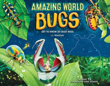 portada Amazing World: Bugs: Get to Know 20 Crazy Bugs (Volume 1) (en Inglés)