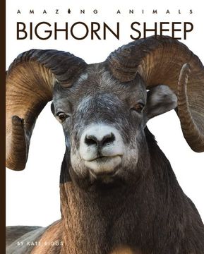 portada Bighorn Sheep 
