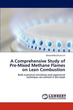 portada a comprehensive study of pre-mixed methane flames on lean combustion (en Inglés)