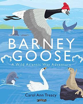 portada Barney Goose: A Wild Atlantic Way Adventure (in English)