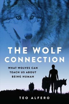 portada The Wolf Connection: What Wolves Can Teach Us about Being Human (en Inglés)