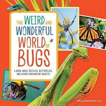 portada The Weird and Wonderful World of Bugs: A Book About Beetles, Butterflies, and Other Fascinating Insects