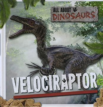 portada Velociraptor (All About Dinosaurs)