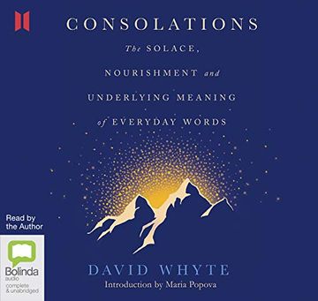 portada Consolations: The Solace, Nourishment and Underlying Meaning of Everyday Words () (in English)