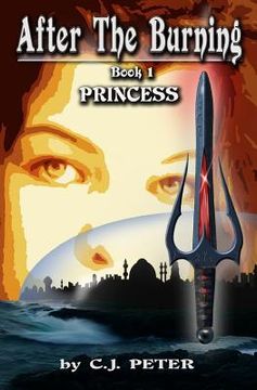 portada After the Burning: Princess (in English)