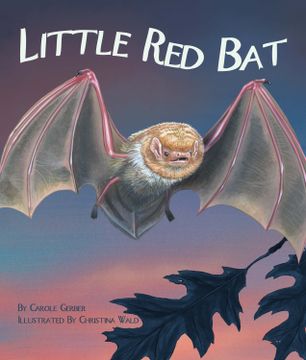 portada Little Red Bat (en Inglés)