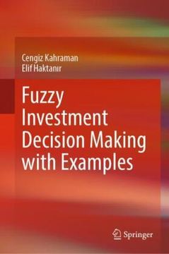 portada Fuzzy Investment Decision Making with Examples (in English)