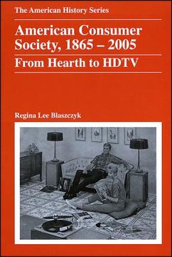 portada american consumer society, 1865-2005: from hearth to hdtv (in English)
