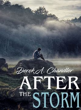portada After The Storm (en Inglés)