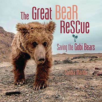 portada The Great Bear Rescue: Saving the Gobi Bears (Sandra Markle'S Science Discoveries) (en Inglés)