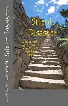 portada Silent Disaster (in English)