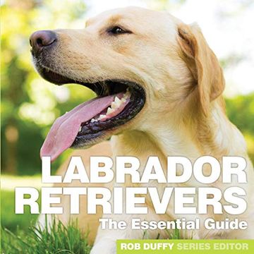portada Labrador Retrievers: The Essential Guide (en Inglés)