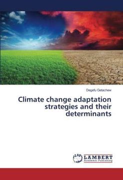 portada Climate change adaptation strategies and their determinants (Paperback) (en Inglés)