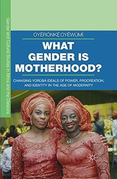 portada What Gender is Motherhood?: Changing Yoru?ba? Ideals of Power, Procreation, and Identity in the Age of Modernity (Gender and Cultural Studies in Africa and the Diaspora)