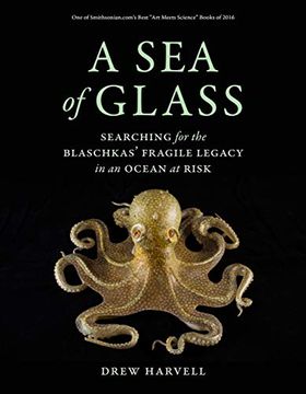 portada A sea of Glass: Searching for the Blaschkas' Fragile Legacy in an Ocean at Risk (Organisms and Environments) (in English)
