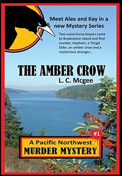 portada The Amber Crow: First in a New Mystery Series