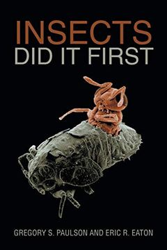 portada Insects did it First (in English)