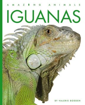 portada Iguanas (en Inglés)