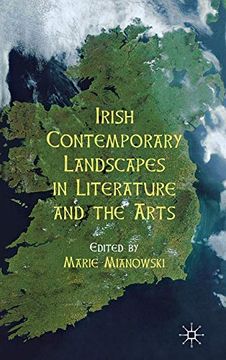 portada Irish Contemporary Landscapes in Literature and the Arts 