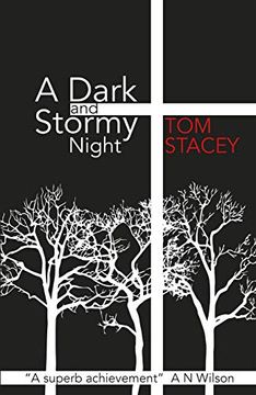 portada A Dark and Stormy Night (en Inglés)